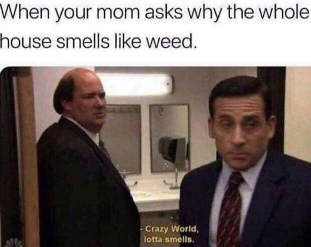 Lotta Smells weed meme