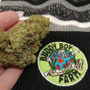 Buddy Boy Farm cannabis