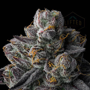 Lifted cannabis