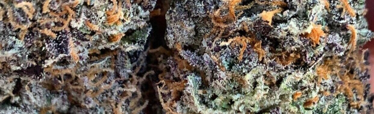 Pinks Runtz Available in Seattle